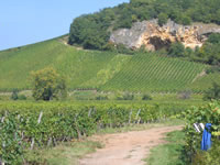 florimont.jpg